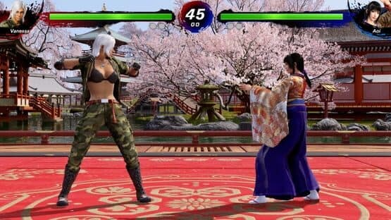 Virtua Fighter 5 R.E.V.O. World Stage: 30th Anniversary Edition — screenshot 4