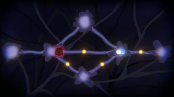 Bochi Collection — screenshot 4