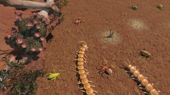 Centipede Simulator — screenshot 2