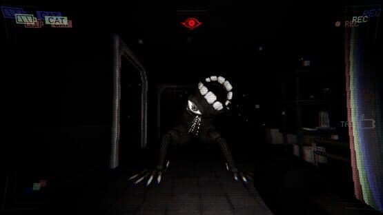 Have You Seen This Cat? — screenshot 3
