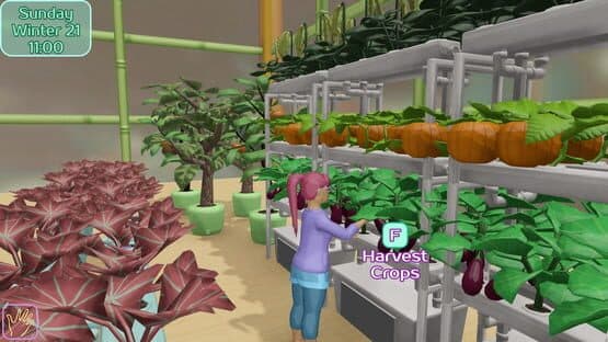 Cave Oasis at Shylake — screenshot 2