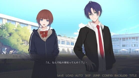 Bouquet for You in the Dark — screenshot 6
