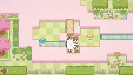 Cat Squeeze — screenshot 3