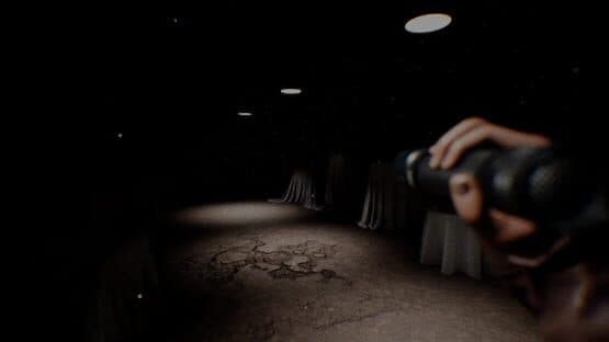 Regression — screenshot 2