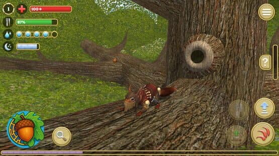 Squirrel Simulator — screenshot 3
