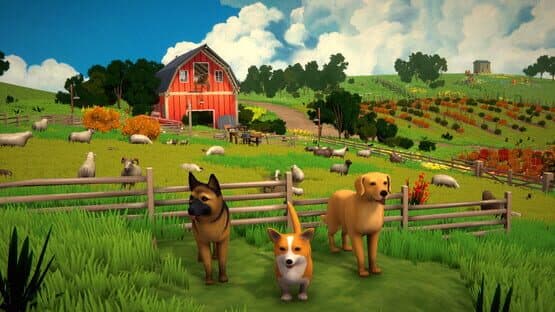 Bark and Catch — screenshot 8