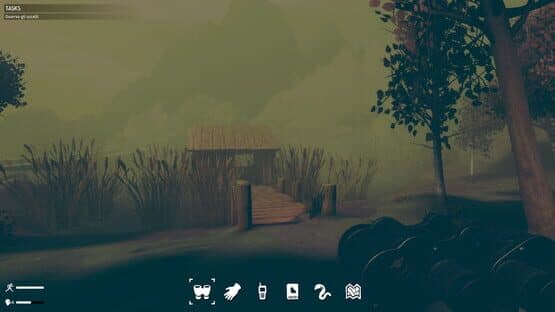 Birds Watching — screenshot 1