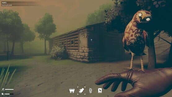Birds Watching — screenshot 2