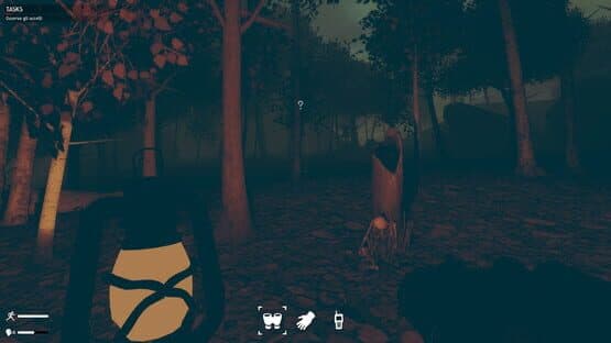 Birds Watching — screenshot 8
