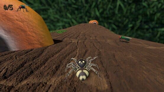A little Jumpingspider's Garden Adventure (Day 1+2) — screenshot 2