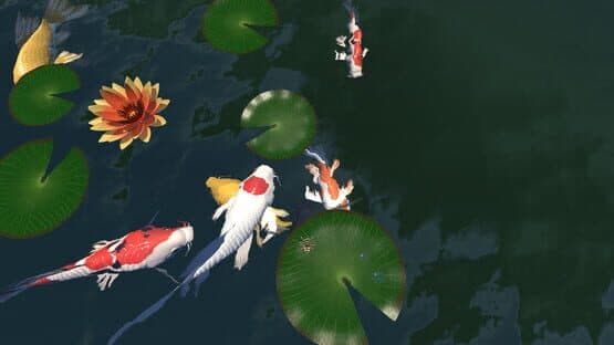A little Jumpingspider's Garden Adventure (Day 1+2) — screenshot 3