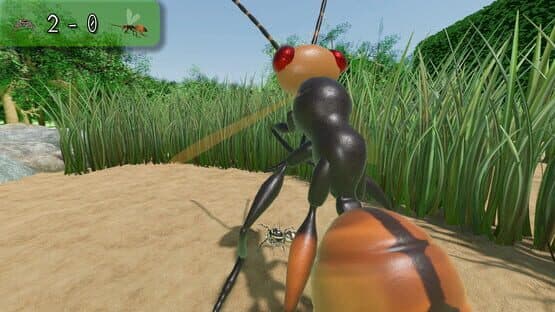 A little Jumpingspider's Garden Adventure (Day 1+2) — screenshot 4