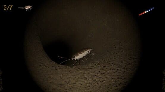 A little Jumpingspider's Garden Adventure (Day 1+2) — screenshot 5