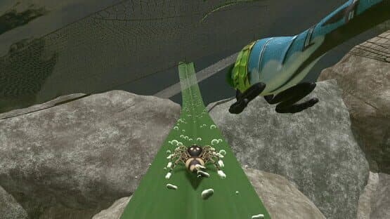 A little Jumpingspider's Garden Adventure (Day 1+2) — screenshot 6