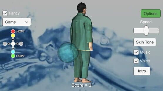 Tai Chi Game — screenshot 3