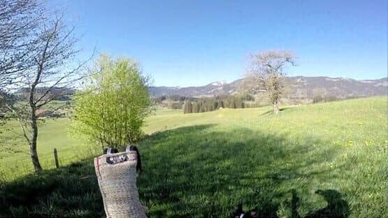BorderCollie Game — screenshot 2