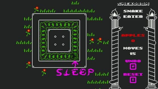 Snekoban — screenshot 1