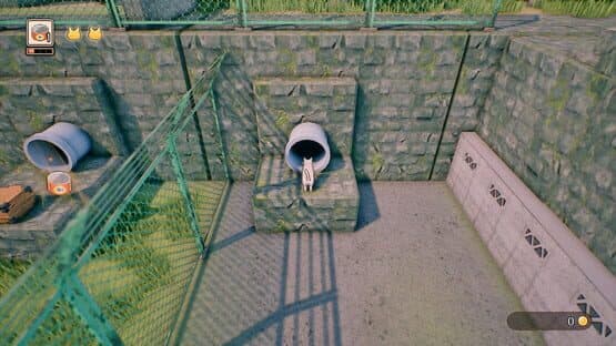 Rural Cat Trails — screenshot 6