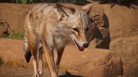 Planet Zoo: Americas Animal Pack — screenshot 1