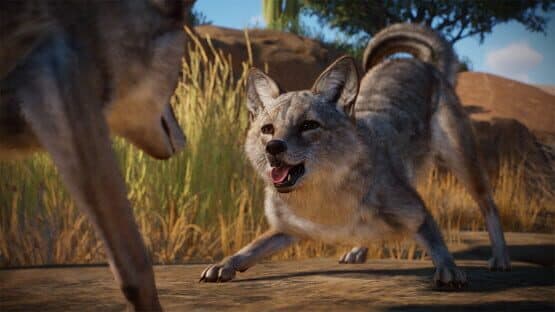 Planet Zoo: Americas Animal Pack — screenshot 4