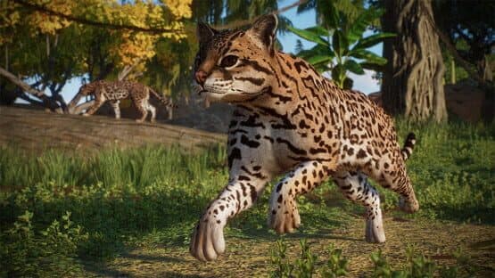 Planet Zoo: Americas Animal Pack — screenshot 6