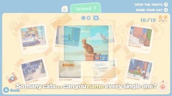 Cozy Life Collection — screenshot 4