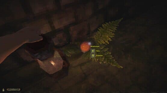 Chwæst: A Creeping Parasite Horror — screenshot 2