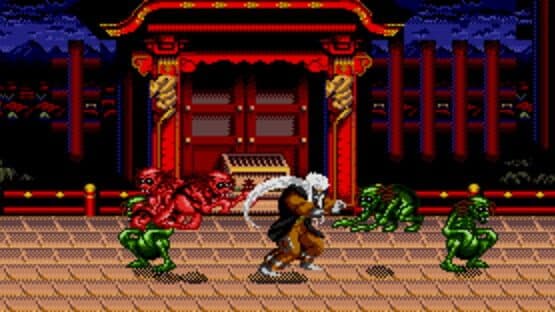 Mystical Fighter — screenshot 1