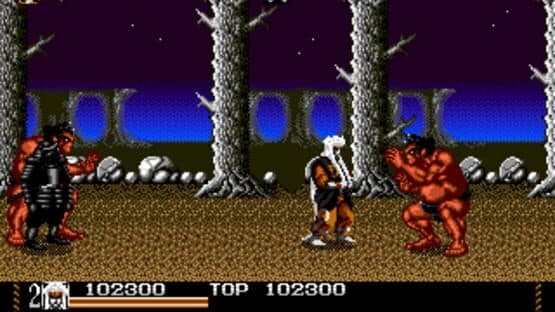 Mystical Fighter — screenshot 2