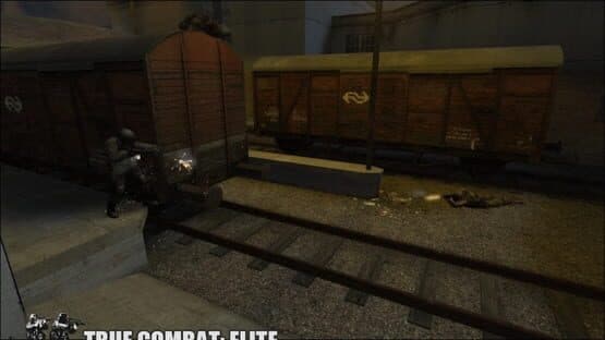 True Combat: Elite — screenshot 1