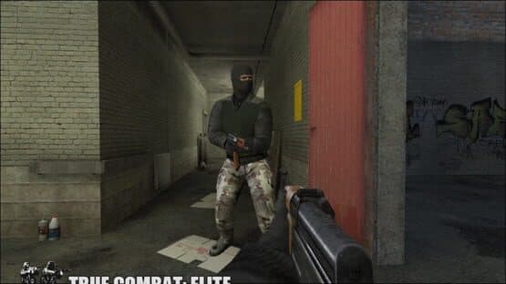 True Combat: Elite — screenshot 2