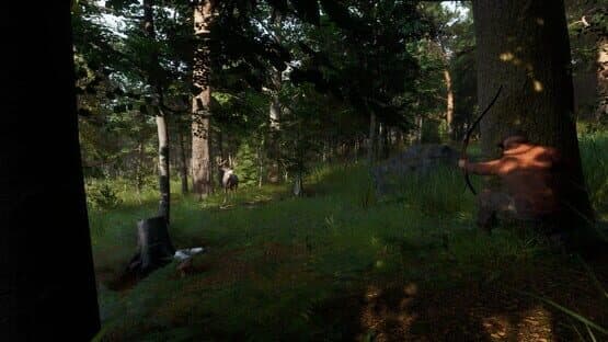 Ardem — screenshot 3