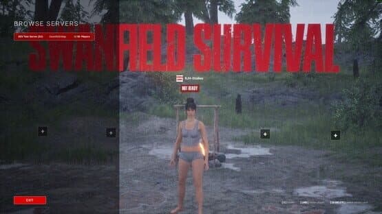 Swanfield Survival — screenshot 5