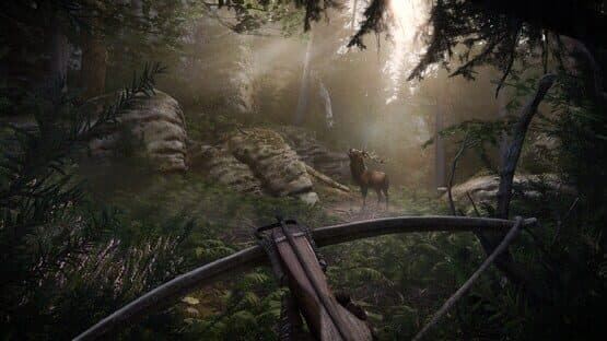 Kingdom Come: Deliverance II - Royal Edition — screenshot 4