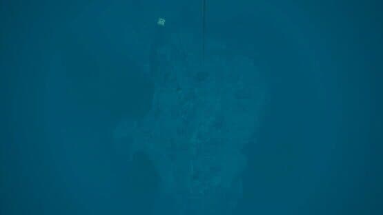 Kodas Nereus — screenshot 2