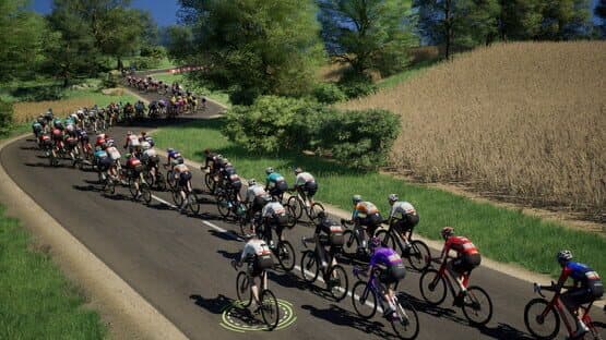 Pro Cycling Manager 26 — screenshot 3