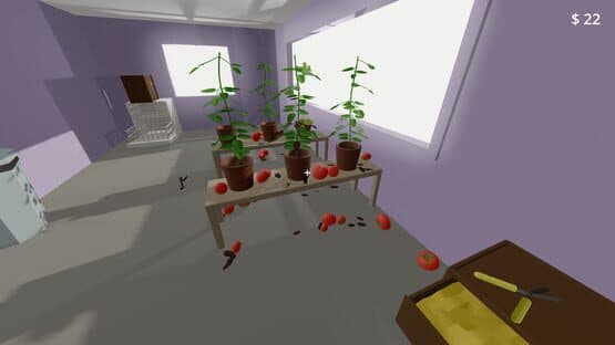 Tomato Dealer — screenshot 2
