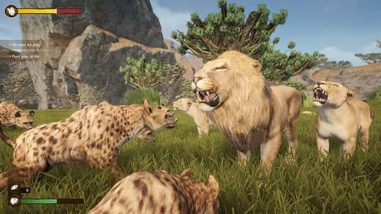 Lion Simulator RPG: Animal Battle Survive — screenshot 2