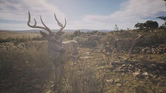 Project Hunt: Lone Star Hunting Ranch — screenshot 2