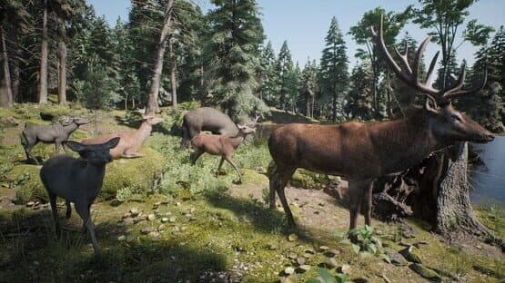Project Hunt: Trophy Sanctuary — screenshot 3