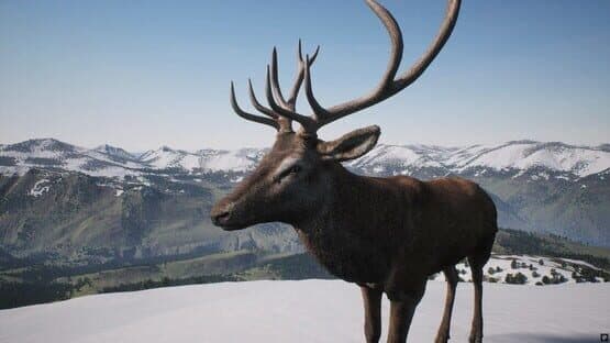 Project Hunt: Trophy Sanctuary — screenshot 4