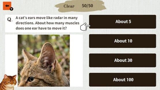 Cat Doctor: For Loyal Servants — screenshot 2