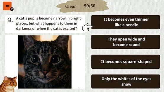 Cat Doctor: For Loyal Servants — screenshot 4