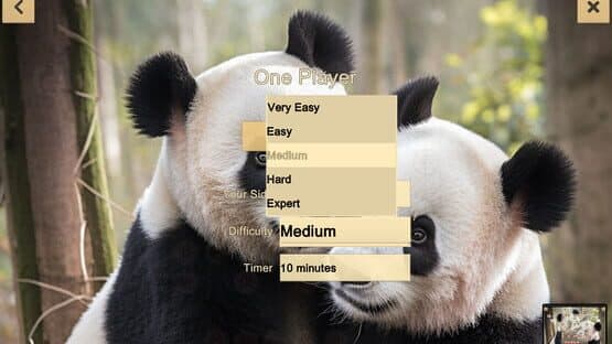 Chinese Chess: Xiangqi — screenshot 1