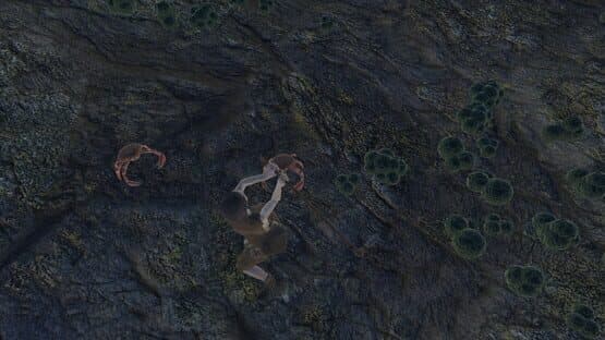 Skara — screenshot 2