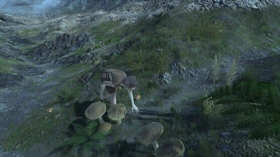 Skara — screenshot 4