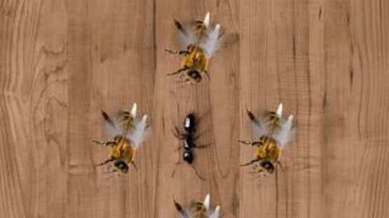 Ant Smasher — screenshot 1