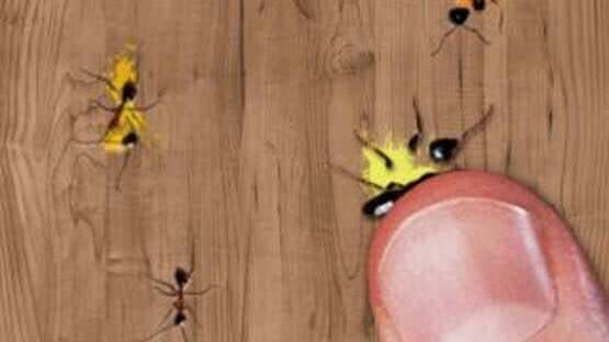Ant Smasher — screenshot 2