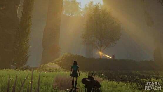 Stars Reach — screenshot 1