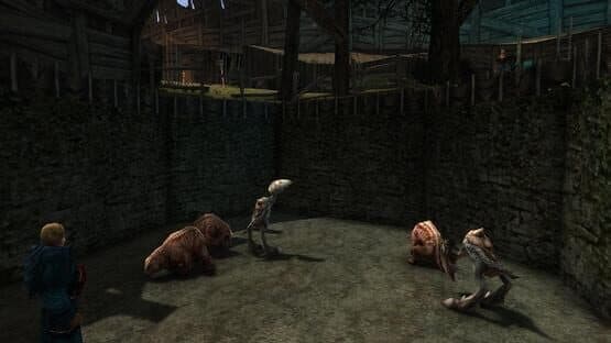 Miranda Village — screenshot 2